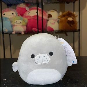 Matt the Manatee Squishmallow 5”